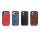 For iPhone 11 Ostrich Texture Genuine Leather Protective Case (Black) - 7