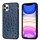 For iPhone 11 Pro Max Ostrich Texture Genuine Leather Protective Case (Blue) - 1