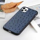 For iPhone 11 Pro Max Ostrich Texture Genuine Leather Protective Case (Blue) - 2