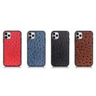 For iPhone 11 Pro Max Ostrich Texture Genuine Leather Protective Case (Blue) - 7