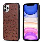 For iPhone 11 Pro Max Ostrich Texture Genuine Leather Protective Case (Brown) - 1