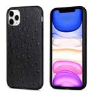 For iPhone 12 / 12 Pro Ostrich Texture Genuine Leather Protective Case(Black) - 1