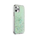 Stars Pattern Dropping Glue TPU Shockproof Protective Case For iPhone 12 Pro Max(Green) - 1