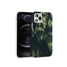 Glossy Plant Pattern TPU Protective Case For iPhone 12 / 12 Pro(Banana Leaf) - 1
