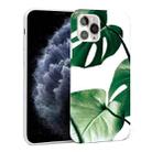 Glossy Plant Pattern TPU Protective Case For iPhone 11 Pro(Turtle Leaf) - 1