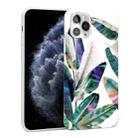 Glossy Plant Pattern TPU Protective Case For iPhone 11 Pro(Color Banana Leaf) - 1