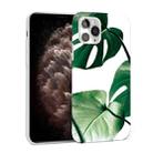 Glossy Plant Pattern TPU Protective Case For iPhone 11 Pro Max(Turtle Leaf) - 1