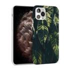 Glossy Plant Pattern TPU Protective Case For iPhone 11 Pro Max(Banana Leaf) - 1