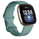 For Fitbit Versa 3 / Sense Silicone Watch Band, Size: S(Pine Needle Green) - 1