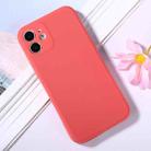 For iPhone 12 mini Magic Cube Frosted Silicone Shockproof Full Coverage Protective Case (Red) - 1