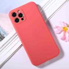 For iPhone 12 Pro Magic Cube Frosted Silicone Shockproof Full Coverage Protective Case(Red) - 1