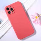 For iPhone 12 Pro Max Magic Cube Frosted Silicone Shockproof Full Coverage Protective Case(Red) - 1