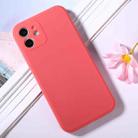 For iPhone 12 Magic Cube Frosted Silicone Shockproof Full Coverage Protective Case(Red) - 1