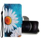 For iPhone 12 / 12 Pro Colored Drawing Pattern Horizontal Flip Leather Case with Holder & Card Slots & Wallet(Daisy) - 1