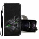 For iPhone 12 / 12 Pro Colored Drawing Pattern Horizontal Flip Leather Case with Holder & Card Slots & Wallet(Black Cat) - 1