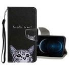 Colored Drawing Pattern Horizontal Flip Leather Case with Holder & Card Slots & Wallet For iPhone 12 Pro Max(Little Cat) - 1