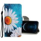 For iPhone 12 Pro Max Colored Drawing Pattern Horizontal Flip Leather Case with Holder & Card Slots & Wallet(Daisy) - 1