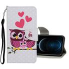 For iPhone 12 Pro Max Colored Drawing Pattern Horizontal Flip Leather Case with Holder & Card Slots & Wallet(Owl Family) - 1