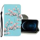 For iPhone 12 Pro Max 3D Colored Drawing Horizontal Flip PU Leather Case with Holder & Card Slots & Wallet(Magnolia) - 1