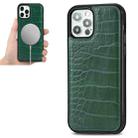 For iPhone 12 mini Crocodile Texture Embossing Magnetic PU + TPU Protective Magsafe Case (Green) - 1