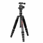 BEXIN BX255C K30 Portable Carbon Fiber Tripod for Camera Dslr - 1