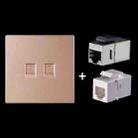 CAT.6 Shielded Pass-through Network Module, Dual Ports Panel + Shielded Pass-through + Telephone Socket (Gold) - 1