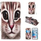 Leather Protective Case For iPhone 6 & 6s(Coffee Cat) - 1