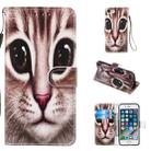 Leather Protective Case For iPhone SE 2020 & 8 & 7(Coffee Cat) - 1