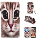 For iPhone X / XS Leather Protective Case(Coffee Cat) - 1