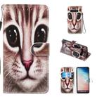 Leather Protective Case For Galaxy S10(Coffee Cat) - 1