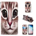 Leather Protective Case For Galaxy S10 Plus(Coffee Cat) - 1