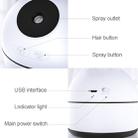 Qiwan Multi-function Portable Mini Spray Moisturizing Humidification USB Desktop Fan with 3 Speed Control (White) - 8