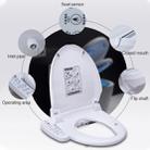 Universal Bathroom Automatic Flushing Drying Massage Intelligent Toilet Cleaner Cover - 5
