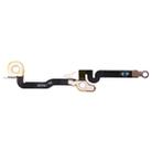 Bluetooth Flex Cable for iPhone 11 - 2