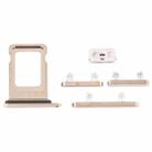 SIM Card Tray + Side Keys for iPhone 12 Pro(Gold) - 2