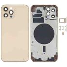 Back Housing Cover with SIM Card Tray & Side  Keys & Camera Lens for iPhone 12 Pro(Gold) - 1