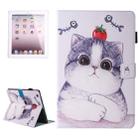 For iPad 4 / 3 / 2 Painting Tomato and Cat Pattern Horizontal Flip Leather Case with Holder & Wallet & Card Slots & Pen Slot - 1