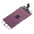 10 PCS TFT LCD Screen for iPhone 5 Digitizer Full Assembly with Frame - 5