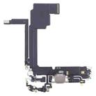 For iPhone 15 Pro Max Charging Port Flex Cable (Titanium Color) - 1