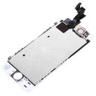 10 PCS TFT LCD Screen for iPhone 5S  Digitizer Full Assembly with Front Camera (White) - 5