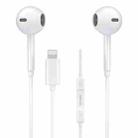 WK Y19 MAX iDeal Series 8 Pin In-Ear HIFI Stereo Wired Earphone, Length: 1.2m - 1