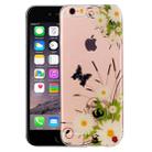 For iPhone 6 & 6s White Chrysanthemum Pattern IMD Workmanship Soft TPU Protective Case - 1