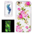 For iPhone 6 & 6s Noctilucent Rose Flower Pattern IMD Workmanship Soft TPU Back Cover Case - 1