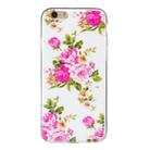 For iPhone 6 & 6s Noctilucent Rose Flower Pattern IMD Workmanship Soft TPU Back Cover Case - 2