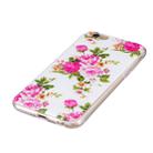 For iPhone 6 & 6s Noctilucent Rose Flower Pattern IMD Workmanship Soft TPU Back Cover Case - 4