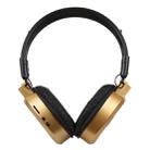 SH-S1 Folding Stereo HiFi Wireless Sports Headphone Headset with LCD Screen to Display Track Information & SD / TF Card, For Smart Phones & iPad & Laptop & Notebook & MP3 or Other Audio Devices(Gold) - 1
