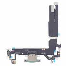 For iPhone 16 Charging Port Flex Cable (Green) - 1