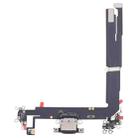 For iPhone 16 Plus Charging Port Flex Cable (Black) - 1