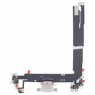 For iPhone 16 Plus Charging Port Flex Cable (White) - 1
