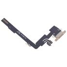 For iPhone 16 Pro Max Charging Port Flex Cable (Gold) - 3